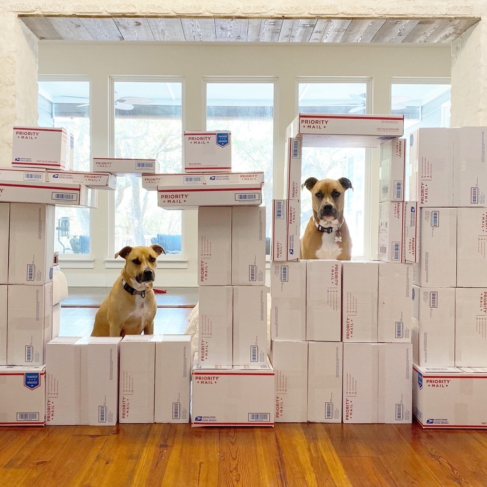 FOLLOW MY CUTE PAWSH ASSISTANTS! 🐶🐶🛍👑🐝 - Picture 16 of 16